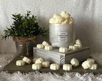 Warm Ocean Breeze ~ Bath and Body Works Candle Wax Melts