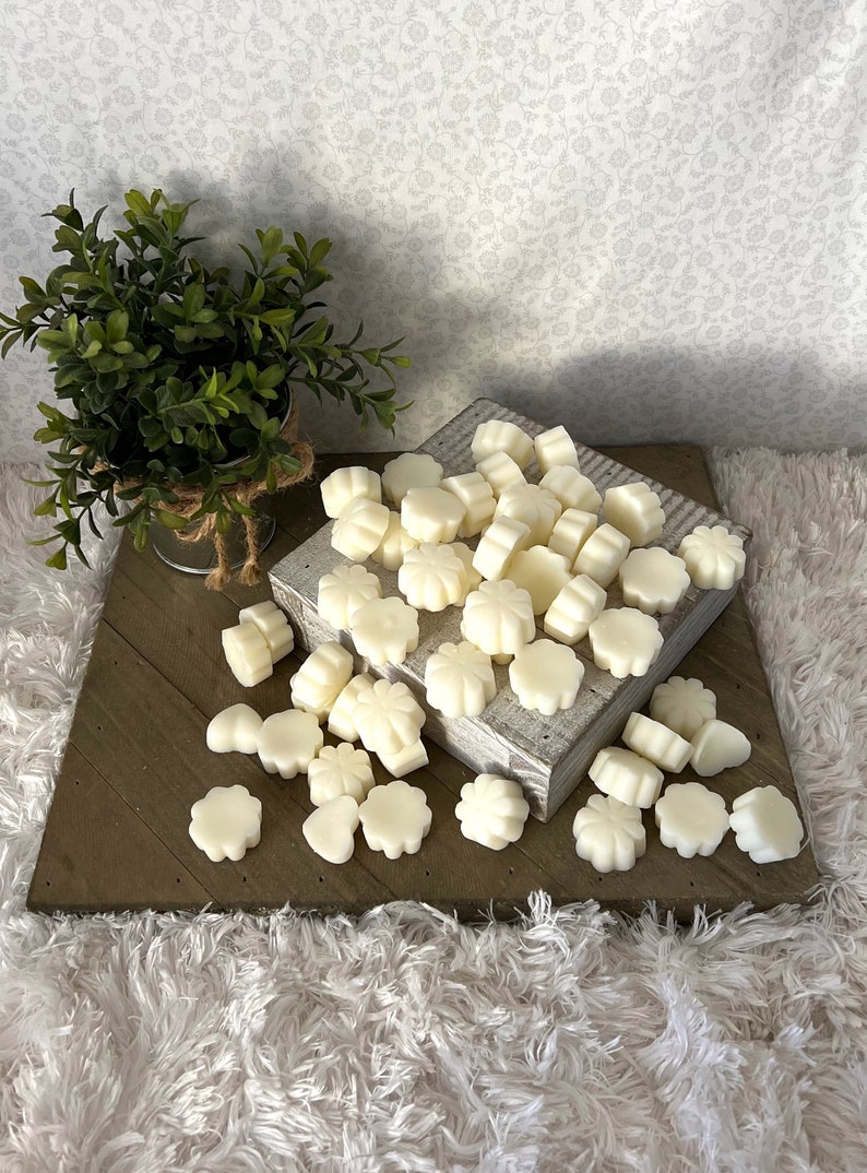 Bath & Body Works Wax Melts - Thumbnail 3