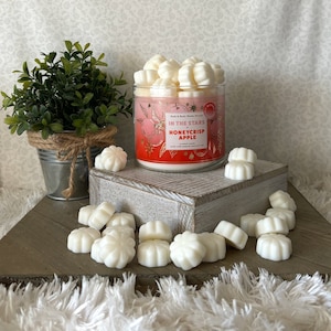 In the Stars and Honeycrisp Apple ~ Bath and Body Works Candle Wax Melts
