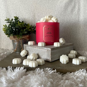 Cactus Blossom Body Bath and Body Works - Etsy