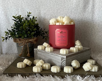 Iced Dragonfruit Tea ~ Bath and Body Works Candle Wax Melts