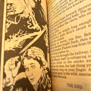 May include: Black and white illustration from a book depicting a fantasy scene. A wizard in a long coat faces off against a figure with a sword. The text "THE END" is visible.