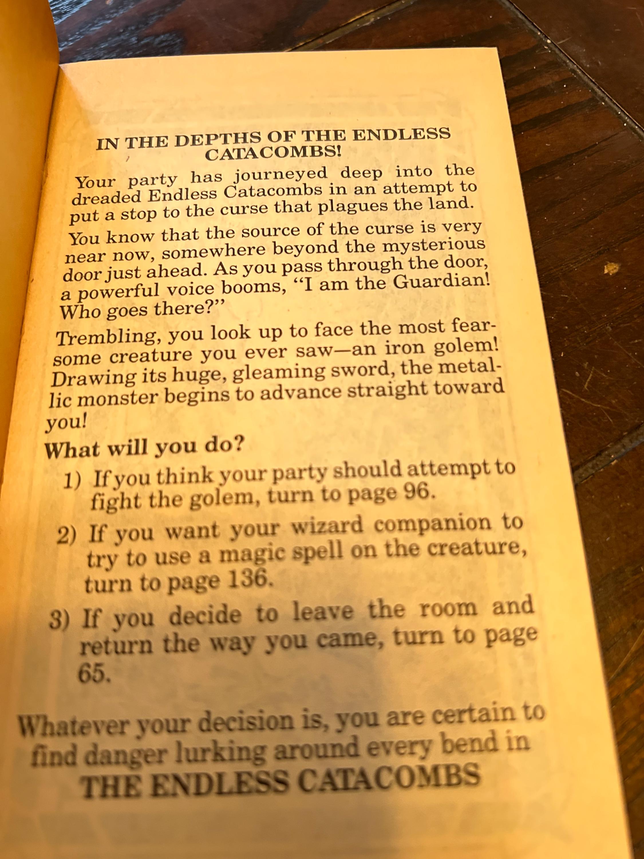 The Endless Catacombs — Endless Quest Book #22 (1984 First