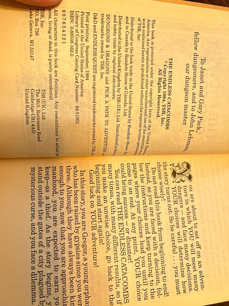 May include: A vintage paperback book titled "The Endless Catacombs" from 1984. The cover is not visible, but the open pages display text about making choices in an adventure. The book is published by TSR, Inc. and is a "Pick a Path to Adventure" book.