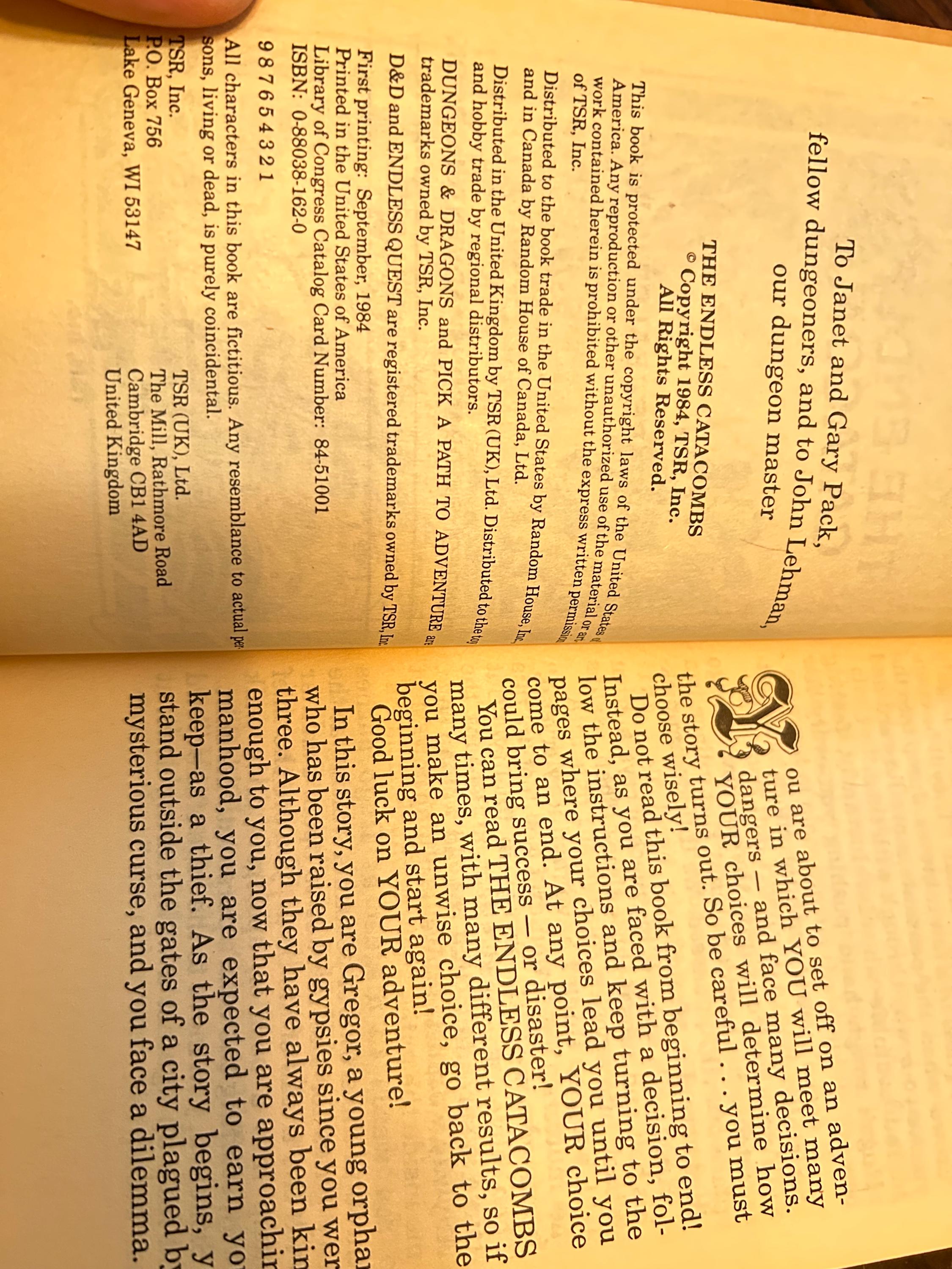 The Endless Catacombs — Endless Quest Book #22 (1984 First