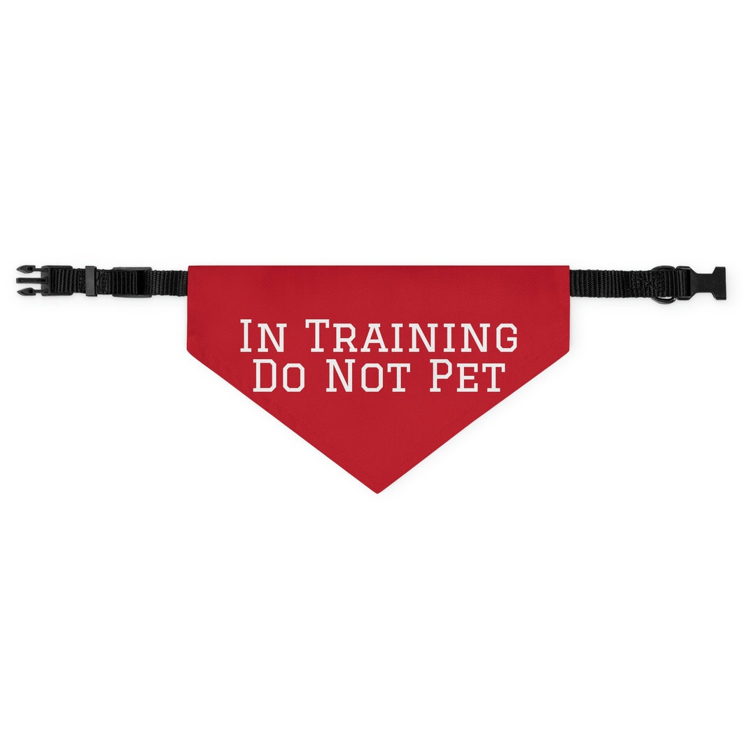 In Training Pet Bandana, in Training Collar, in Training Dog Bandana, in Training Bandana, Dog