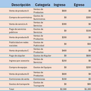 Plantilla de Seguimiento Financiero para Pequeñas Empresas | Plantilla Contable Fácil de Usar