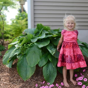 May include: A young girl wearing a pink and red tiered dress with a floral pattern stands in front of a large green plant. She is smiling and looking to the right.