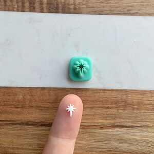 May include: A small, teal-colored plastic mold shaped like a star. A white star made of fondant is shown on a finger next to the mold.