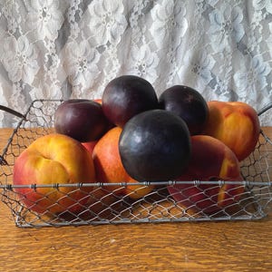 V12&quot;X9&quot; Vintage Chicken Wire Handled Farmhouse Style Gathering/ Display Basket, Rustic Country Kitchen Decor