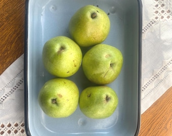 Assadeira vintage de metal esmaltado azul e branco