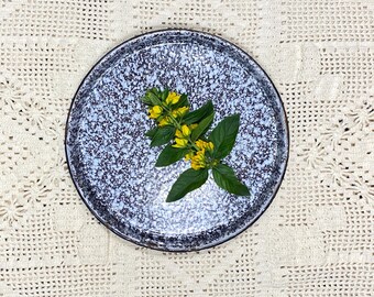 Vintage Blue Gray Speckle Enamel Shallow Baking Pan Plate | Rustic Primitive Kitchen Decor