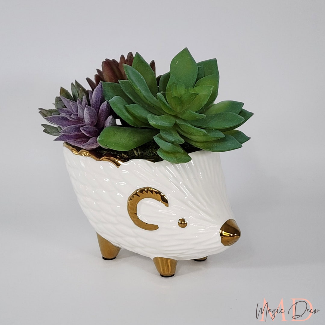 Hedgehog Planter With Artificial Succulent Plants, Ceramic Planter