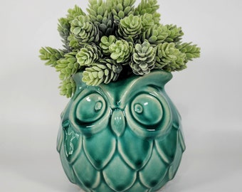 Ceramic Planter, Artificial Hops Plant in Ceramic Owl Pot, Animal Planter,  teal ceramic owl planter, home decor, Gift, Patio decor.