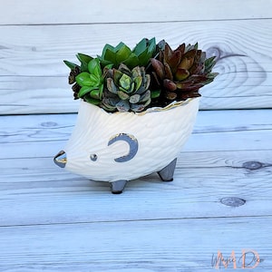 Hedgehog Planter with artificial Succulent Plants, Ceramic Planter, Succulent Gift, Animal Plant Pot, Hedgehog Gifts, Home decor, Planter