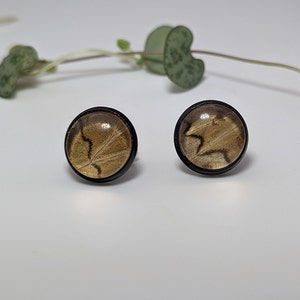 Beautiful Butterfly Wing Stud Earrings. One-Of-A-Kind. Delightful Style with Free Shipping. Black setting black and brown. 12mm.