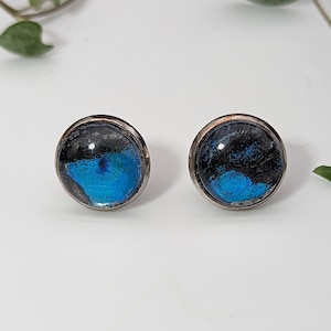 Beautiful Butterfly Wing Stud Earrings. One-Of-A-Kind. Delightful Style with Free Shipping. Blue and Black. 12mm.