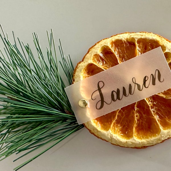 Christmas Place Cards, Dried Citrus Slices Calligraphy Name Cards, Pine Tree Holiday Place Card, Wedding Name Tags