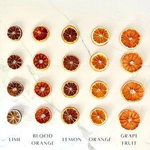 May include: Dried citrus fruit slices arranged in rows on a white marble background. The slices are labeled as lime, blood orange, lemon, orange, and grape fruit.