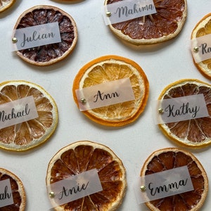 Dried Citrus Place Cards, Dried Orange, Lemon, Lime, Grapefruit Slices Calligraphy Wedding Name Cards, Bridal Shower Place Cards