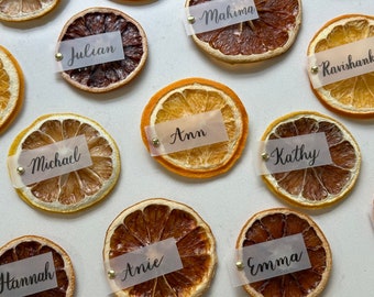Dried Citrus Place Cards, Dried Orange, Lemon, Lime, Grapefruit Slices Calligraphy Wedding Name Cards, Bridal Shower Place Cards