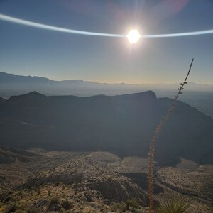 Vegas' Shadow