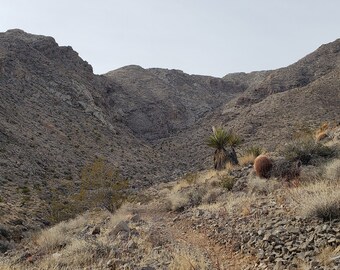 Home on the Range