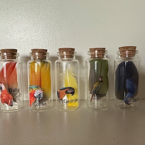 Memorial Parrot Feather Mini Bottles