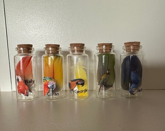 Memorial Parrot Feather Mini Bottles
