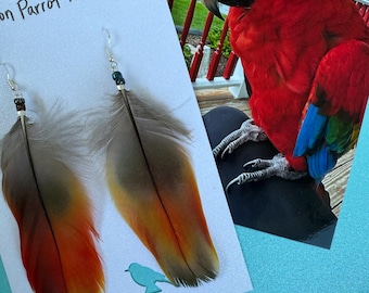 Parrot Feather Earrings