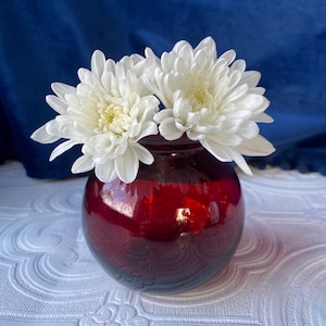 May include: A small, round, ruby-red glass vase holding two white chrysanthemum flowers. The vase sits on a white, patterned tablecloth, with a deep blue background. The flowers have multiple layers of white petals and yellow centers.