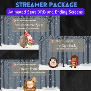 Personalized Animated Streamer Package Hedgehogs Snow Twitch Youtube live stream gamer starting soon, be right back, stream ending overlay