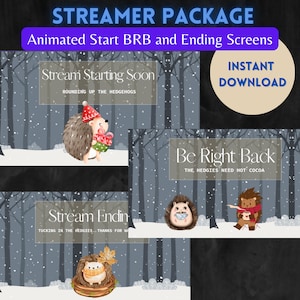 Animated Streamer Package Hedgehogs Snow Twitch Youtube live stream gamer starting soon, be right back, stream ending live stream overlays