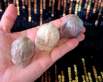 Deeez Nutzz~ Goat&#39;s Milk Novelty Men&#39;s Soap