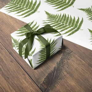 Fern Illustration Wrapping Paper