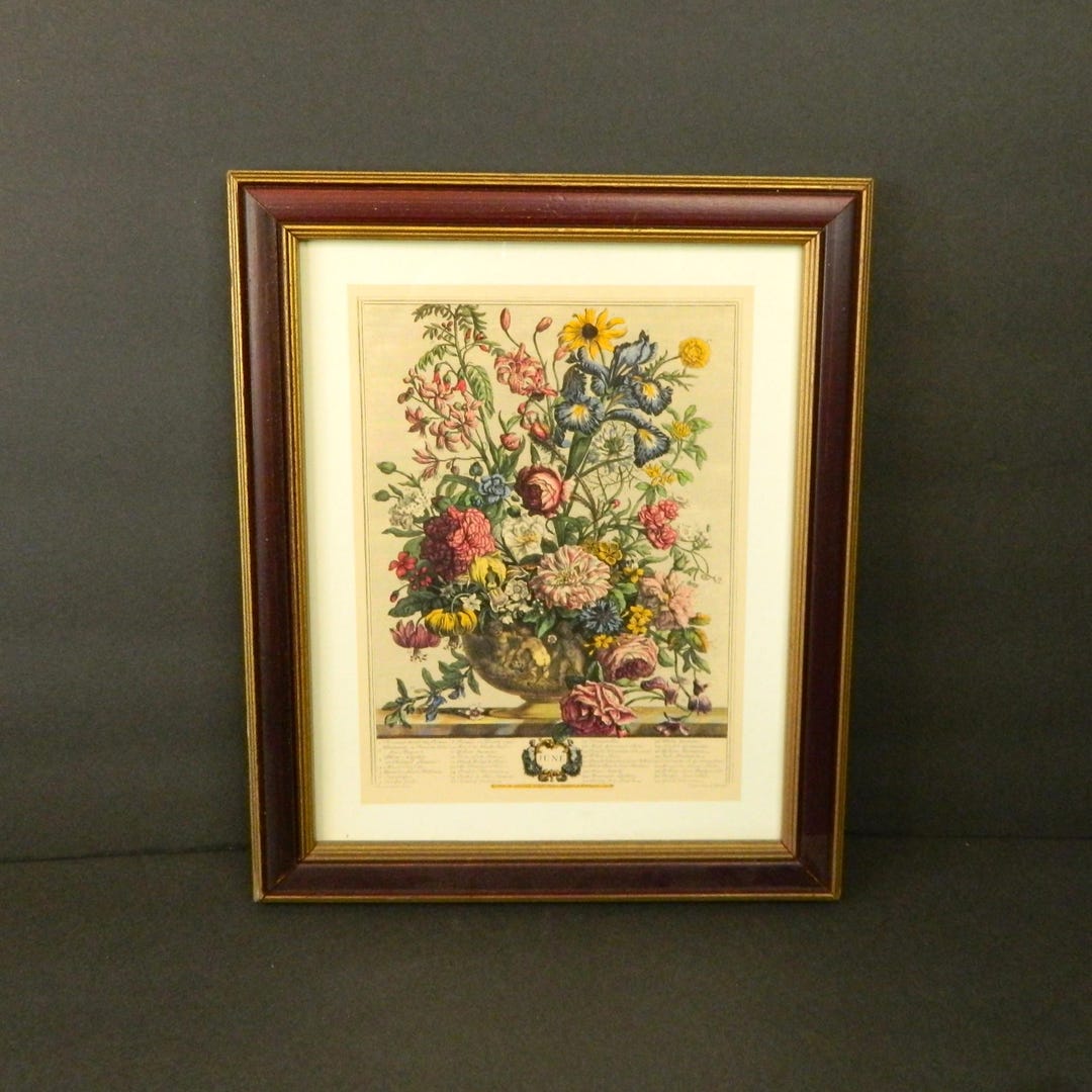 Twelve Months of Flowers- June Framed Lithograph