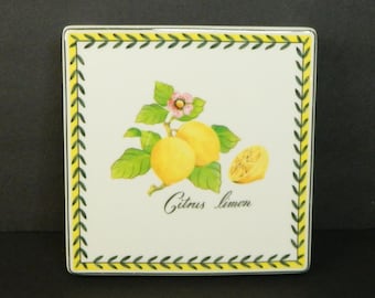 Villeroy & Boch French Garden Fleurence Citrus Limon Porcelain Trivet 6.25" sq.
