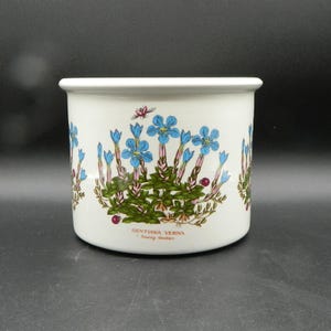 Puede incluir: Maceta de cerámica blanca con un diseño floral azul y verde con el texto "GENTIANA VERNA Spring Gentian".