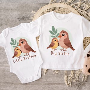 Big Sister Little Brother Set, Matching Sister Brother Outfits, Matching Sibling T-Shirts, Big Sister Shirt, Little Brother Bodysuit