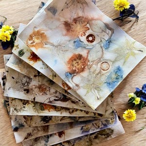 Papier imprimé et teint à l'aide de plantes - Impressions écologiques - 10 feuilles pour les journaux indésirables, la réalisation de collages, les projets artistiques techniques mixtes, etc.