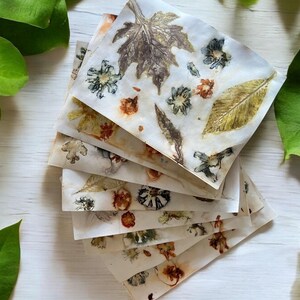 Papel impreso y teñido con plantas - Eco Prints - 8 hojas para diarios basura, creación de collages, proyectos de arte en técnica mixta, etc.