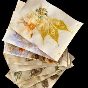 Papier imprimé et teint à l'aide de plantes - Impressions écologiques - 8 feuilles pour les journaux indésirables, la réalisation de collages, les projets artistiques techniques mixtes, etc.