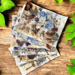 Papier imprimé et teint en utilisant des plantes et de la rouille - Impressions écologiques - 8 feuilles pour les journaux indésirables, la fabrication de collages, les projets artistiques techniques mixtes, etc.