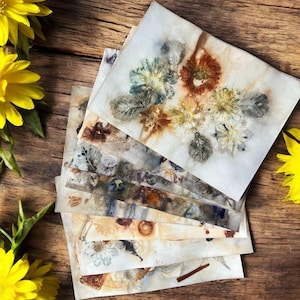 Papier imprimé et teint en utilisant des plantes et de la rouille - Impressions écologiques - 8 feuilles pour les journaux indésirables, la fabrication de collages, les projets artistiques techniques mixtes, etc.