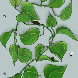 Puede incluir: Una vid verde frondosa con hojas en forma de corazón y pequeños escarabajos negros arrastrándose por los tallos. También hay pequeñas moscas blancas volando alrededor de la planta.