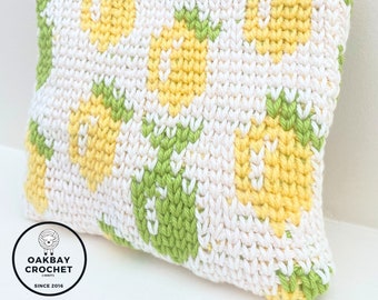 CROCHET PATTERN ⨯ zipper pouch, accessory, notions bag ⨯ lemon lime ⨯ video tutorial ⨯ chart ⨯ summer