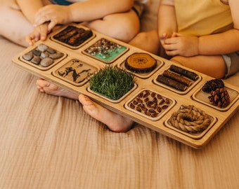 Juego de memoria sensorial, memoria sensorial, discos sensoriales, juguetes sensoriales para bebés, juguetes sensoriales