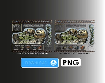 Loutre de l'aquarium de la baie de Monterey (enhydra lutris), téléchargement de fichier PNG
