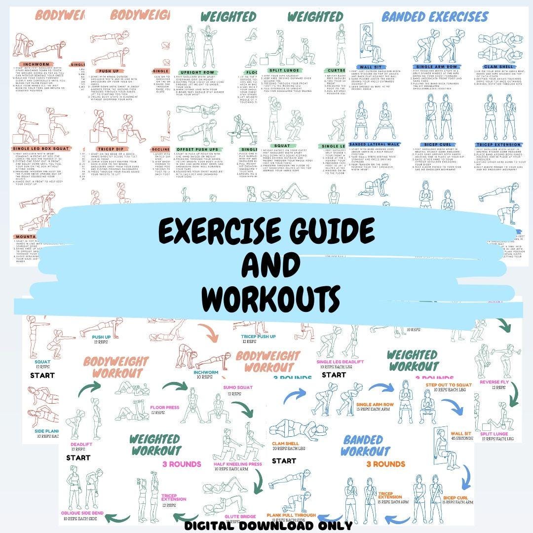 Full Body Workout Guide, Home Workout Plan, Printable Workout Bundle, Fitness Guide, Full Body ...