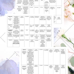 ICU Critical Care Medication Guide plus mechanical ventilation guide plus report sheet for critical care nurses